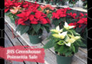 Juab High School Greenhouse Selling Poinsettias For the Holiday Season